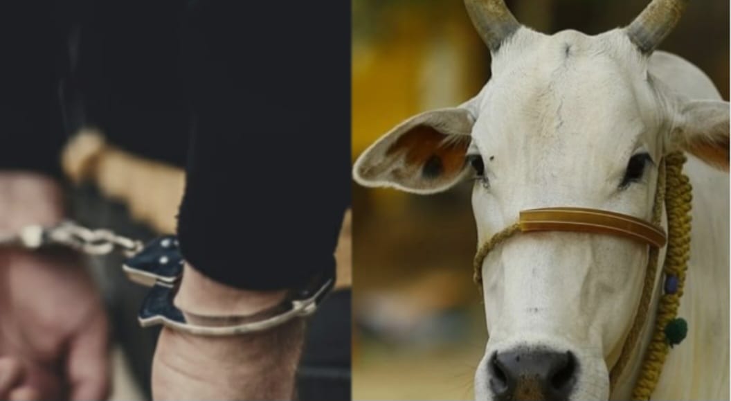 जंगल में चल रही गौकशी का भंडाफोड़, 455 किलो गोमांस बरामद